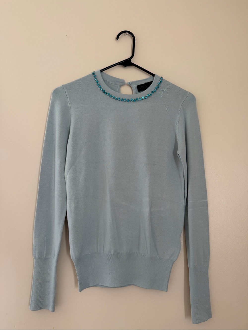 Zara Powder Blue Crewneck Sweater with Beaded Neckline
